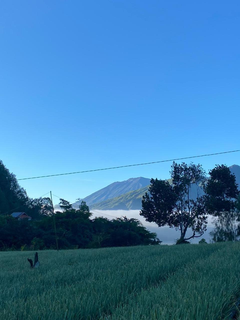 Pondok Bali Volcano Kubupenlokan Kültér fotó